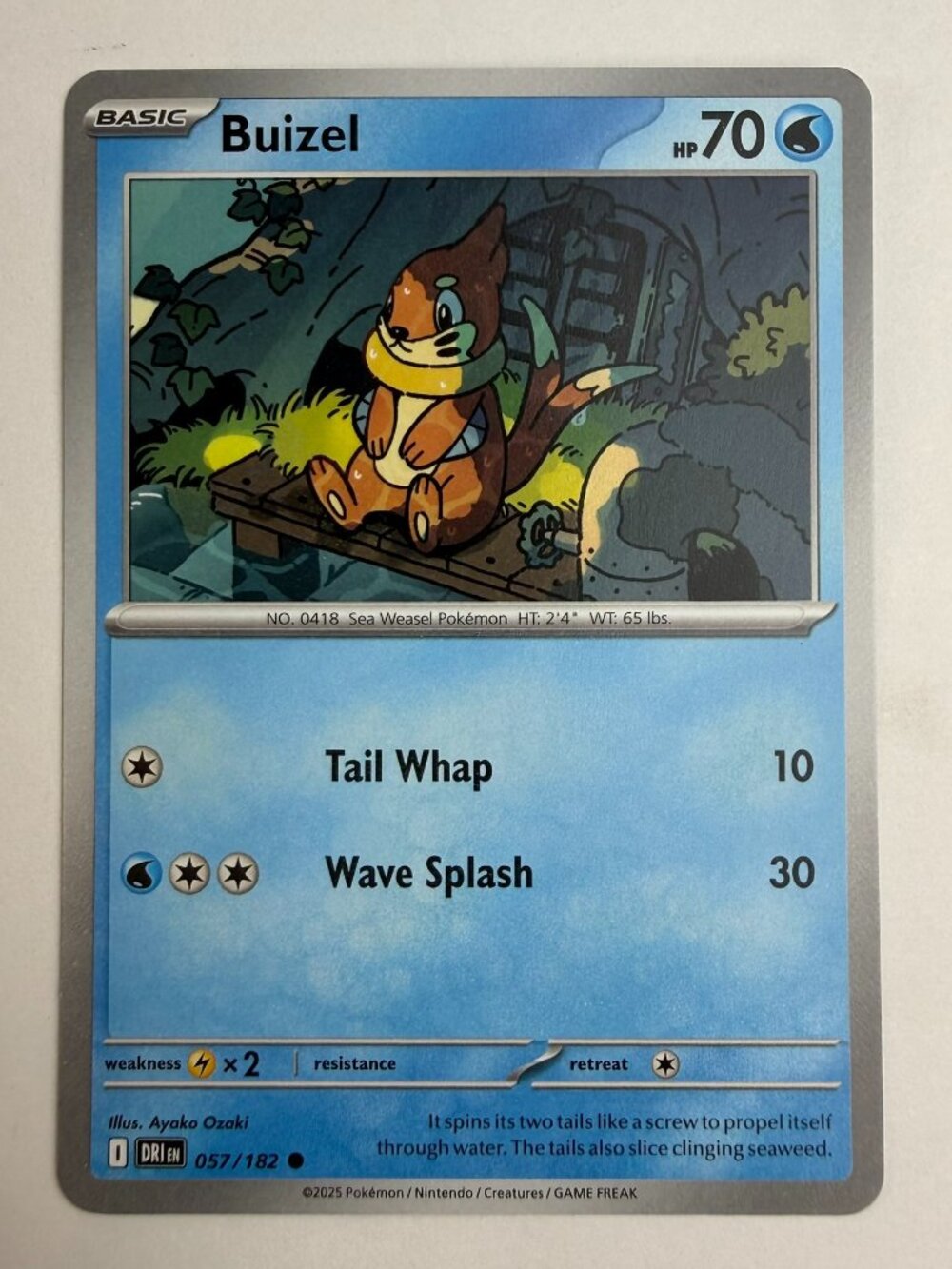 Buizel 057/182 Sv10: Destined Rivals Regular Common Basic 70HP Eng